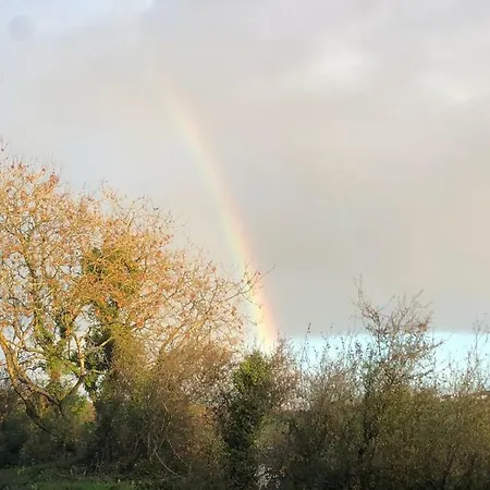 Apartment Daltons Bar