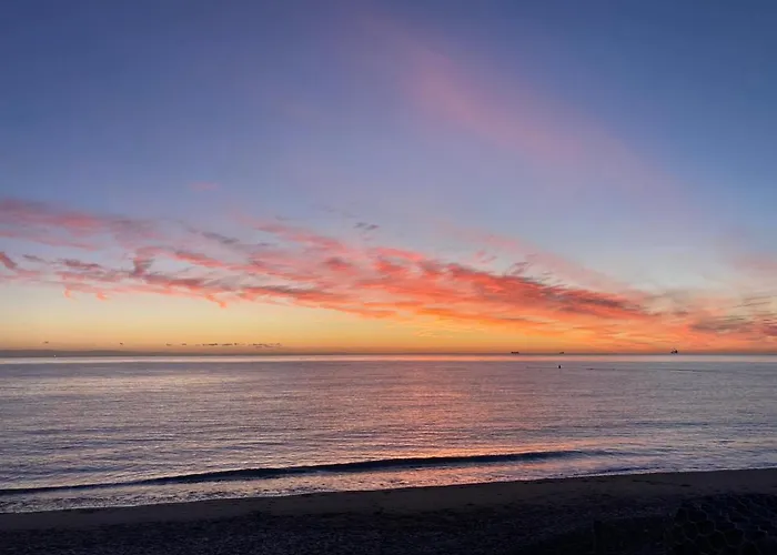 Daltons Bar 金塞尔