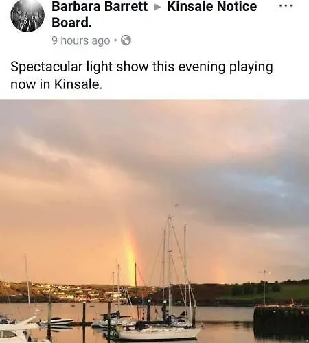 Daltons Bar * 金塞尔